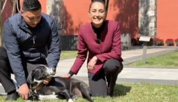 Sheinbaum desea feliz Año Nuevo 2025 a las y los mexicanos