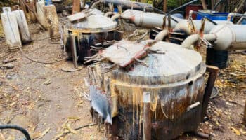 Incauta Marina 800 litros de precursores químicos en 'narcolaboratorio' de 'Los Mayos'