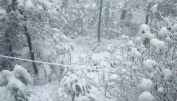 Pronostican caída de nieve o aguanieve en zonas altas de Veracruz, Puebla y Edomex