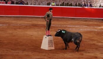 Taurinos recogen firmas para impedir la prohibición de las corridas en CDMX