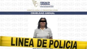 Puebla | Mujer que intentó atacar a perrito con machete es detenida