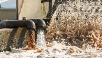 El agua como principio ético de vida | Artículo de Mario Luis Fuentes