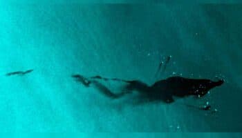 Solo ocho multas en seis años por 48 derrames petroleros en el Golfo de México: investigación | Entérate