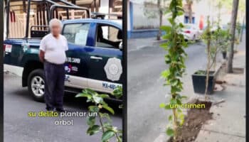 Adulto mayor detenido por sembrar árbol en BJ; Alcaldía lo acusa de dañar banqueta