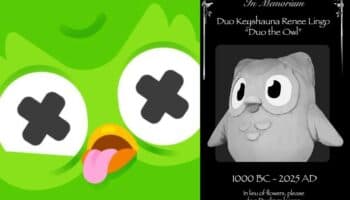 Duolingo anuncia la muerte de su mascota 'Duo': 'Tenía muchos enemigos'