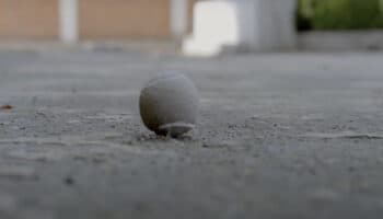 "Los cuidadores aprovechan su situación para violentar a los niños": Periodista