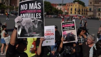CDMX | Manifestantes pro tauromaquia y policías se enfrentan afuera del Congreso