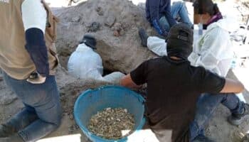 Calculan al menos 200 víctimas en crematorios clandestinos de Teuchitlán, Jalisco