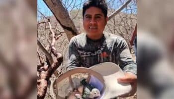 Profepa denuncia a 'Luis Mi Padre Hermoso' por saquear nido de pericos en peligro de extinción