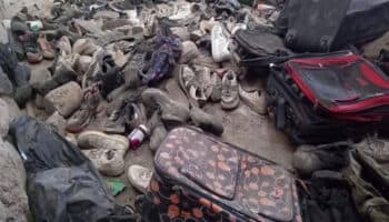 Desaparecidos | Regresan como muertos vivientes: Guillén | Entérate