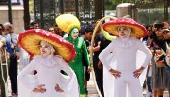 Este fin de semana disfruta de 'Spora, Festival del Bosque 2025'