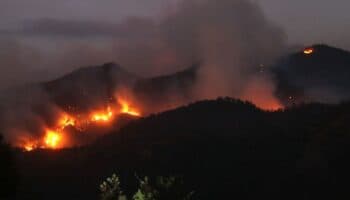 Aristegui en Vivo: Detienen a ex directivo de Liconsa por fraude en Segalmex; 123 incendios forestales activos en México; y más (18/04/2025)