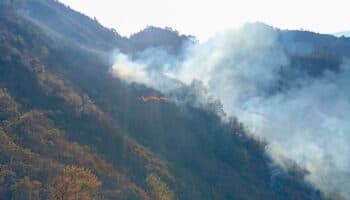 Comuneros piden ayuda para combatir incendios forestales en Oaxaca