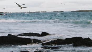 Un estudio alerta de la contaminación en fuentes de agua de tres islas de Galápagos