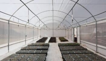 La zona arqueológica de Cuicuilco estrena invernadero