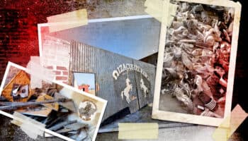 Teuchitlán | Se sabía que en esta zona había actividad criminal desde 2019: MCCI