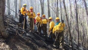 Bosques del futuro | ¿En qué debe basarse la estrategia nacional para combatir incendios forestales?