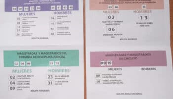 INE reconoce ‘existencia masiva’ de acordeones