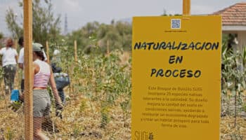 Crean primer 'Bosque de bolsillo' en Nezahualcóyotl