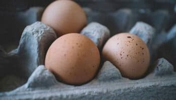¿Cuánto tiempo puedes guardar huevos crudos, cocidos o en omelet en el refri sin riesgo de intoxicación?