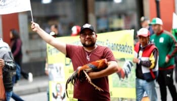 CDMX | 'El gallo nace para pelear', exclaman manifestantes en defensa de la tradición