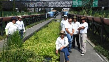 Parque Lineal Ecoducto Río de la Piedad: un pequeño oasis | Por Carlos Galindo y Alejandro Alva