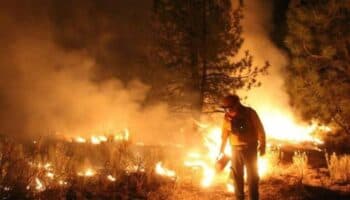 Envían tercer grupo de brigadistas mexicanos para sofocar incendios en Canadá