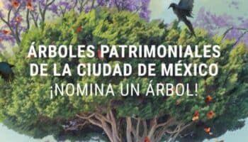 Guardianes del Tiempo: una convocatoria para proteger nuestra memoria viva