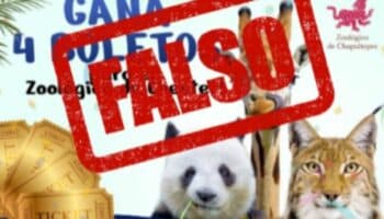 Alerta: no existen tours para dar de comer a animales en Chapultepec