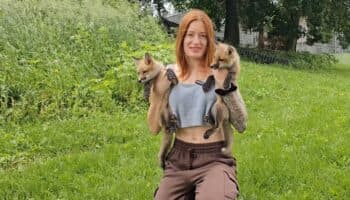 Mikayla Raines, youtuber rescatista de zorros, fallece por suicidio tras sufrir acoso en línea