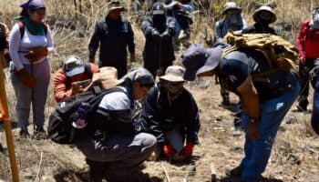 Senado excluye a la ciudadanía del Sistema de Búsqueda: exconsejeros