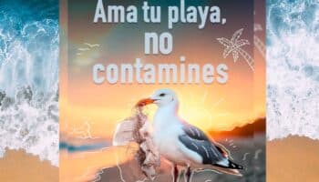 México lanza estrategia nacional para eliminar plásticos en playas para 2030