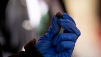 Violencia en Edomex: Balaceras en Toluca y Cuautitlán Izcalli; ejecutados en Tlalnepantla