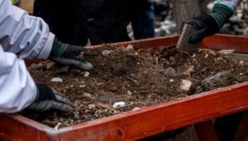 Flora y fauna, guía para localizar fosas clandestinas: investigación de buscadores en Jalisco