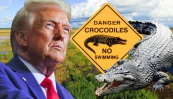 'Alligator Alcatraz': La nueva prisión para migrantes que Trump construye rodeada de caimanes