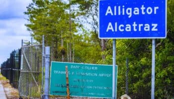 EU comienza a deportar a migrantes en vuelos desde 'Alligator Alcatraz'