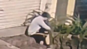 Hallan feto en etapa avanzada de gestación en jardinera de Tlalpan; activan protocolo de seguridad