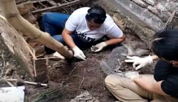 Jalisco | Hallan molares, rótulas y otros huesos en presunto crematorio clandestino