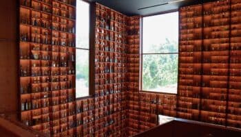 Jalisco impone Récord Guinness al reunir 3,199 botellas de tequila en un solo lugar