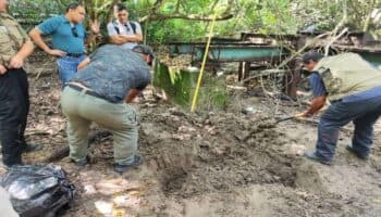 Hallan cocodrilo decapitado; sospechan uso para rituales en Jalisco