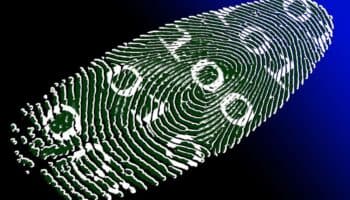 ¿Que incluirá la nueva CURP biométrica?