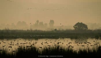 Crónicas de Exploración | La ciudad es territorio y el territorio se defiende