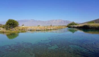 Cuatrociénegas: claves para buscar vida en Marte | Pronatura Noreste