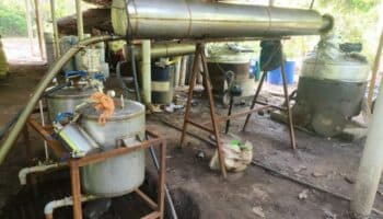 Decomisan más de 5 toneladas de drogas en tres entidades