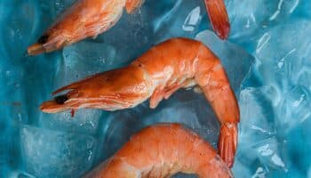 Estados Unidos alerta por camarón 'radioactivo' en Walmart