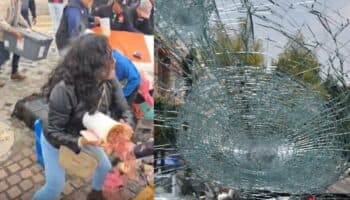 Alcaldía Benito Juárez 'no cederá' tras encontronazo con ambulantes frente a Mítikah | Video