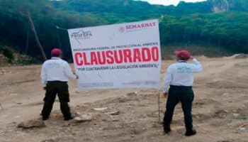 Chiapas | Arrasan con más de 4 mil metros cuadrados de selva baja en Tuxtla Gutiérrez