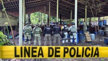 Decomisan cerca de 900 kilos de metanfetamina en Palenque, Chiapas