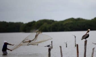 ¿Por qué el aumento del nivel del mar amenaza con desaparecer dos pueblos en Venezuela? | Mongabay