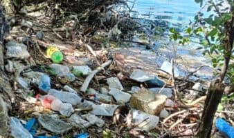 Así se aniquila al Estero de Urías, uno de los más contaminados de México y el mundo | Mongabay